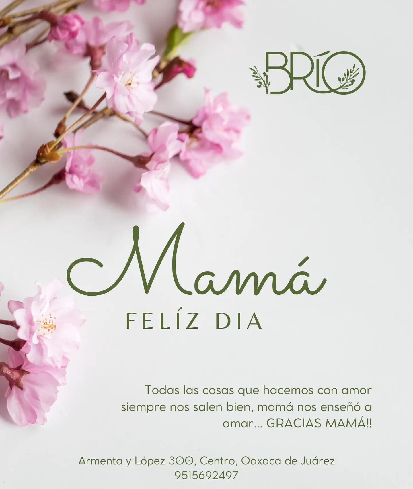 Brio — photo 84