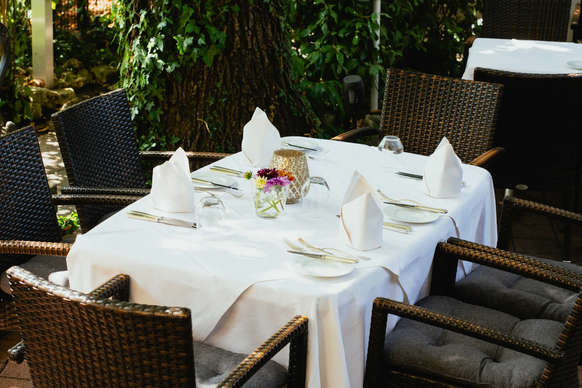 Hotel &amp; Gasthaus Schwanen — photo 4