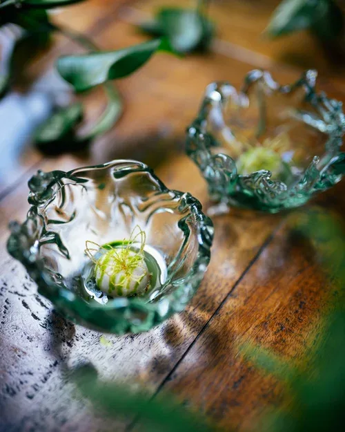 The Walled Gardens — food