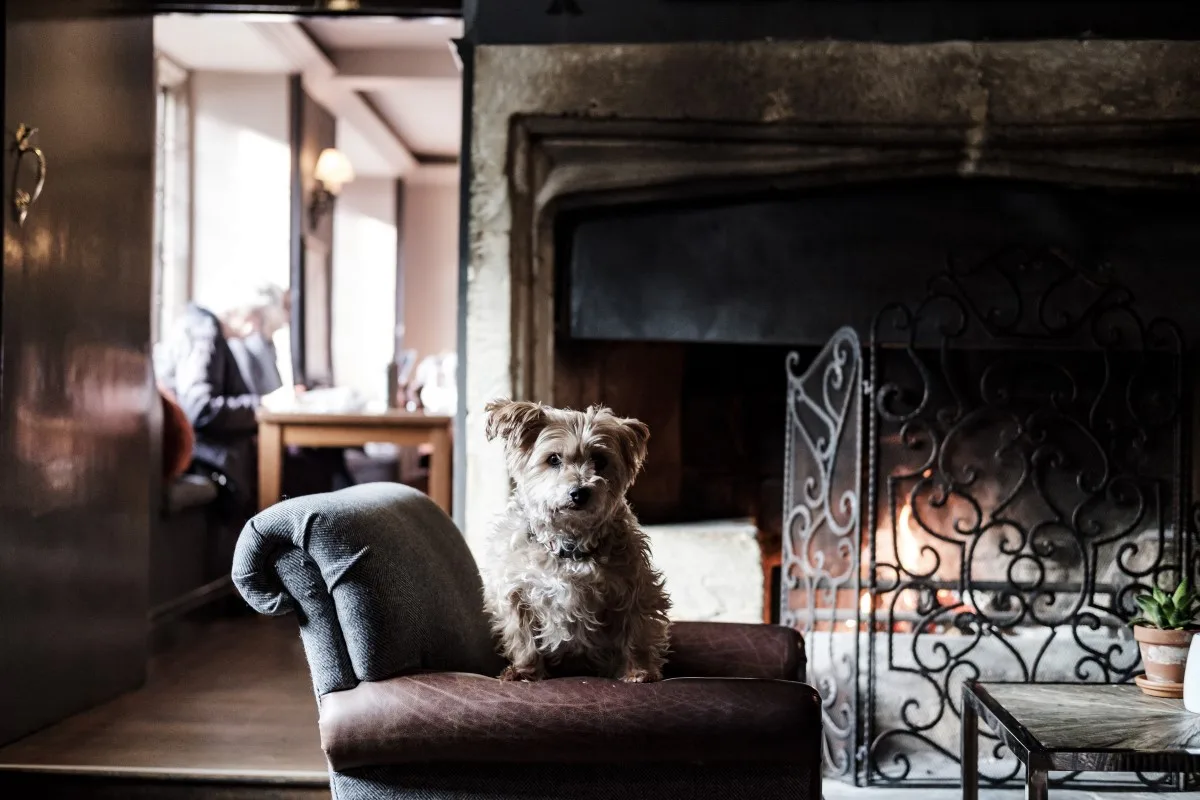 The Bay Tree Hotel — photo 4