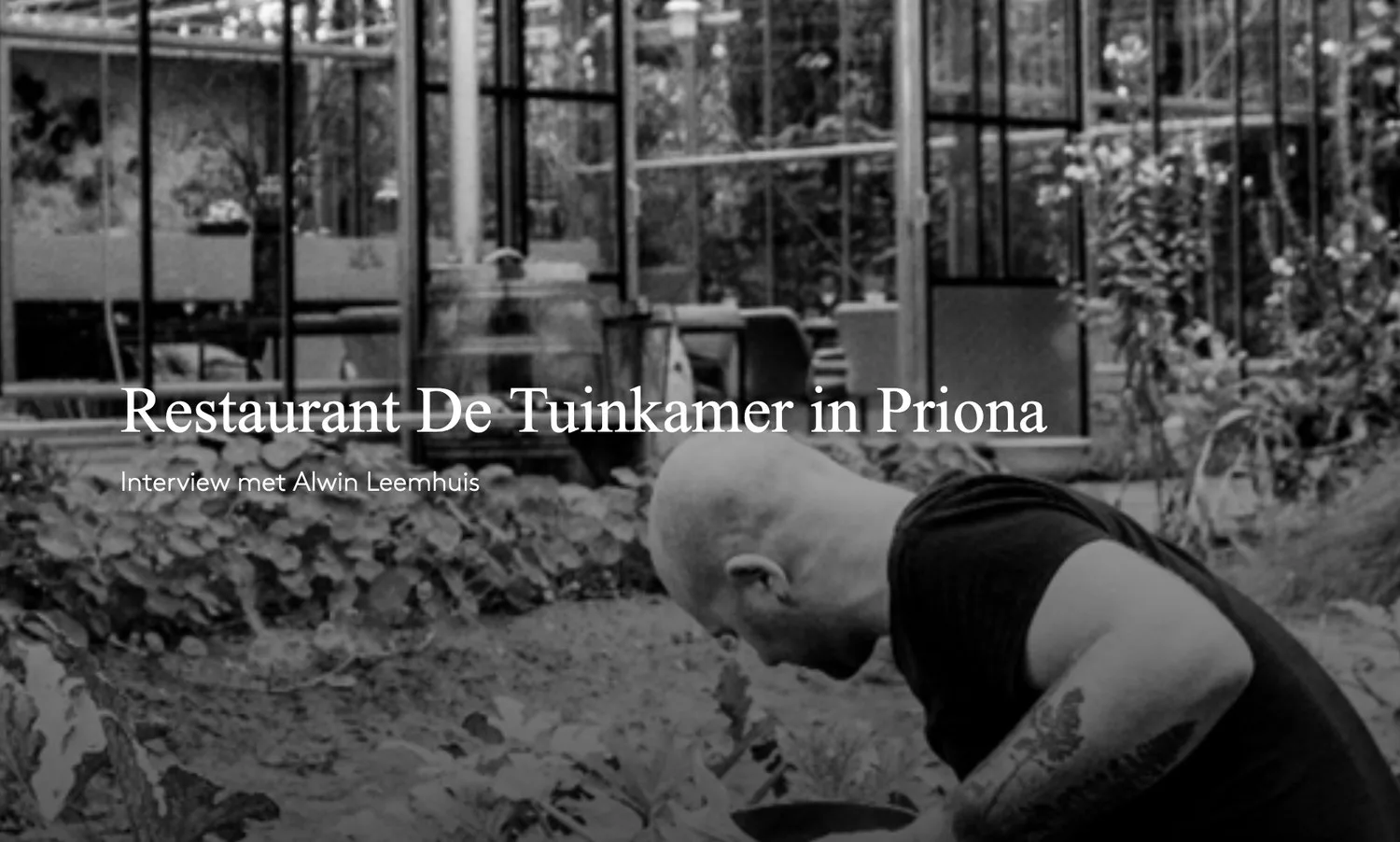 Zomerrestaurant De Tuinkamer — photo 17