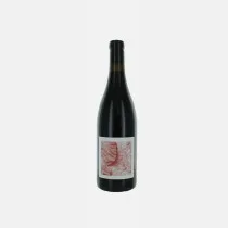 Canterbury — drink