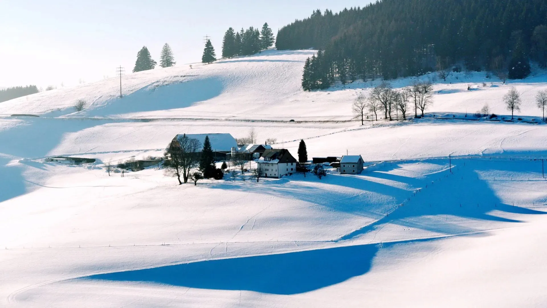 Gasthof Linde — photo 28