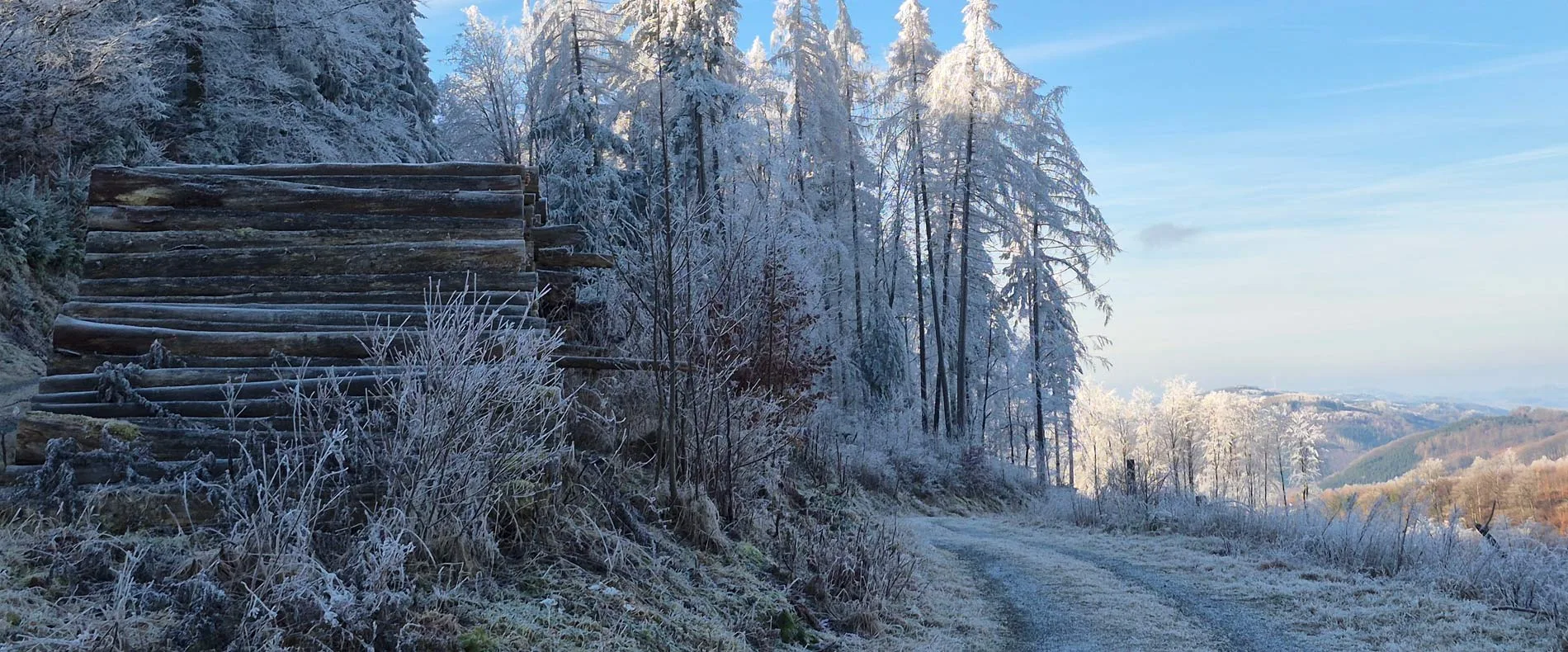 Waldhotel Schinkenwirt — photo 20