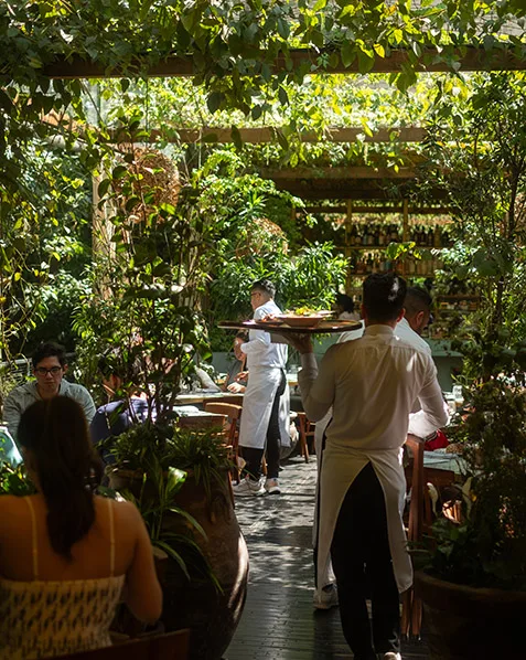 Bella Aurora, Mexico City