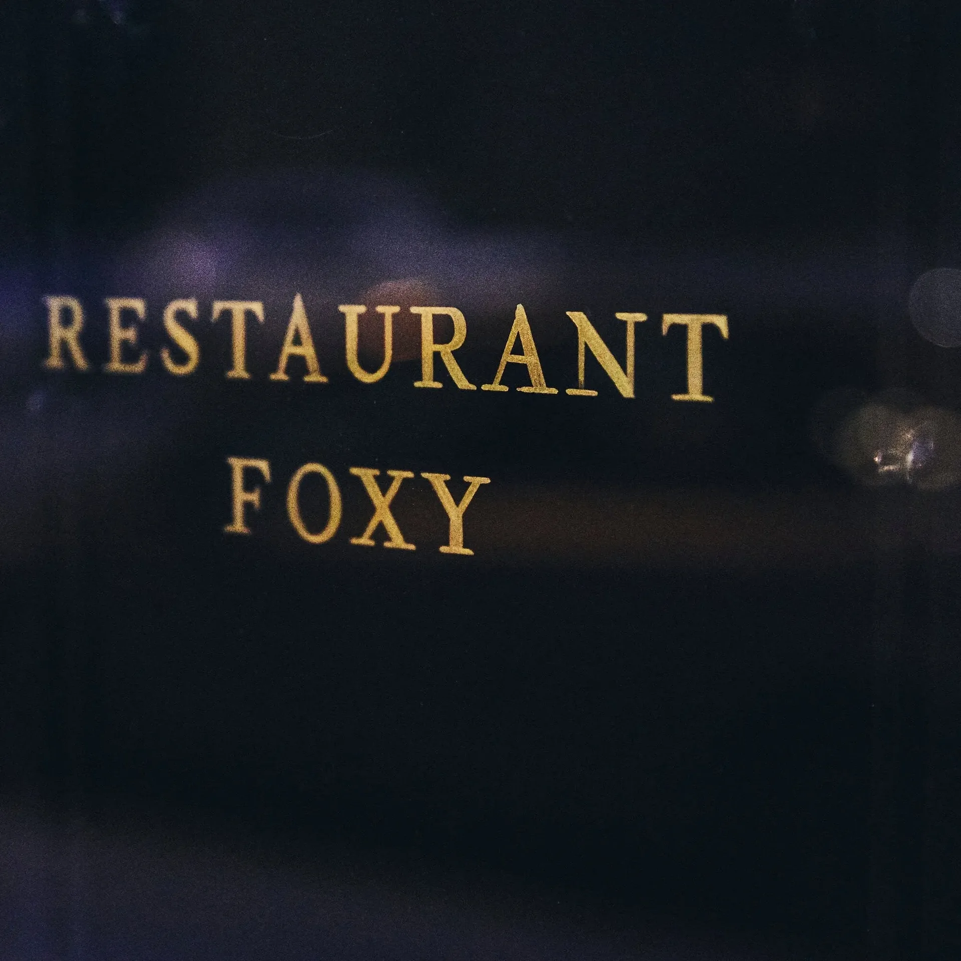 Foxy — photo 22