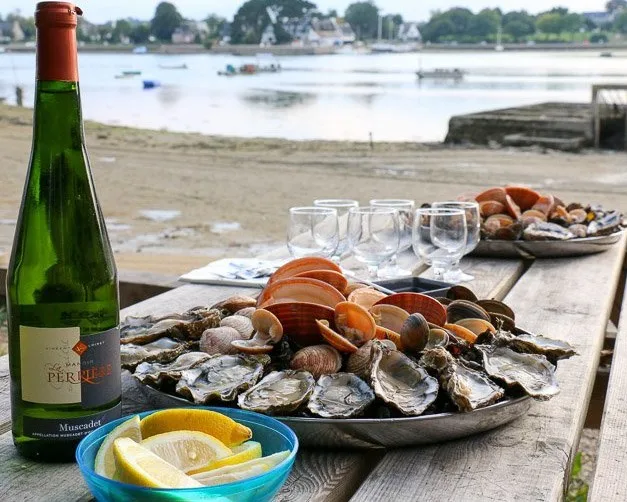 Aux Viviers de Penfoulic — photo 9