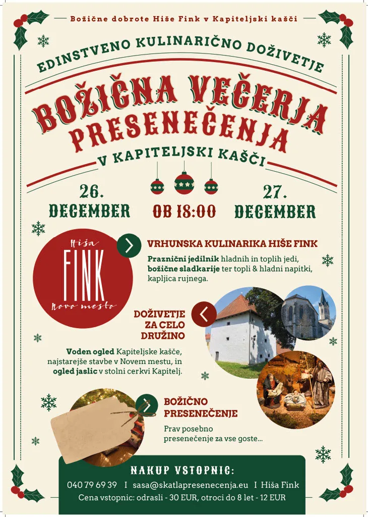 Hiša Fink — photo 86