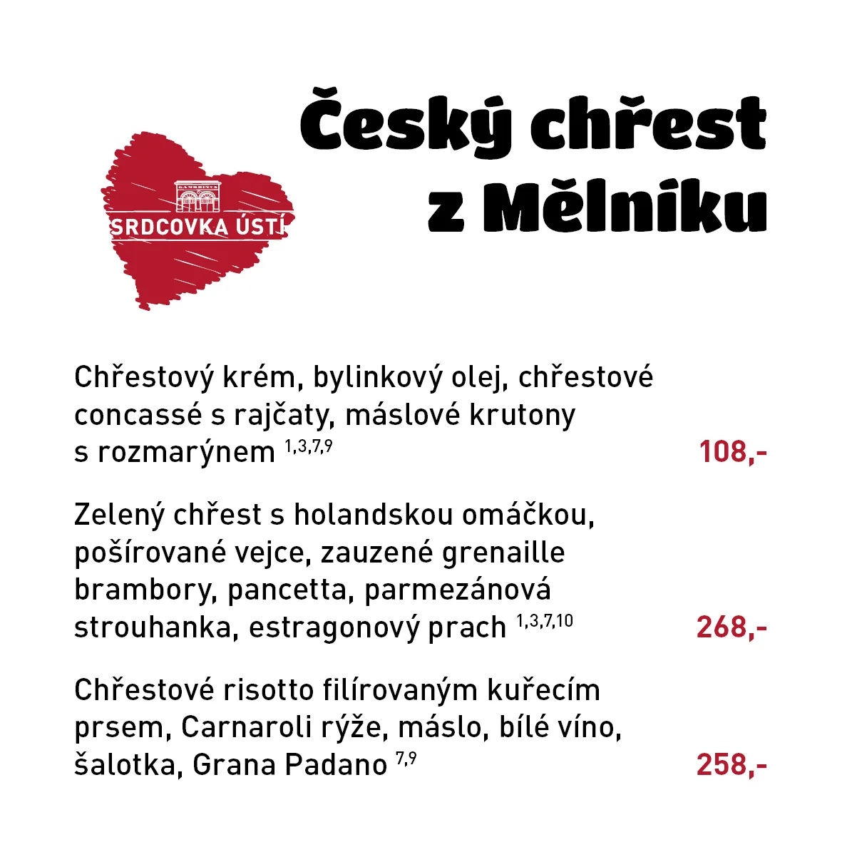 Srdcovka Ústí — photo 66