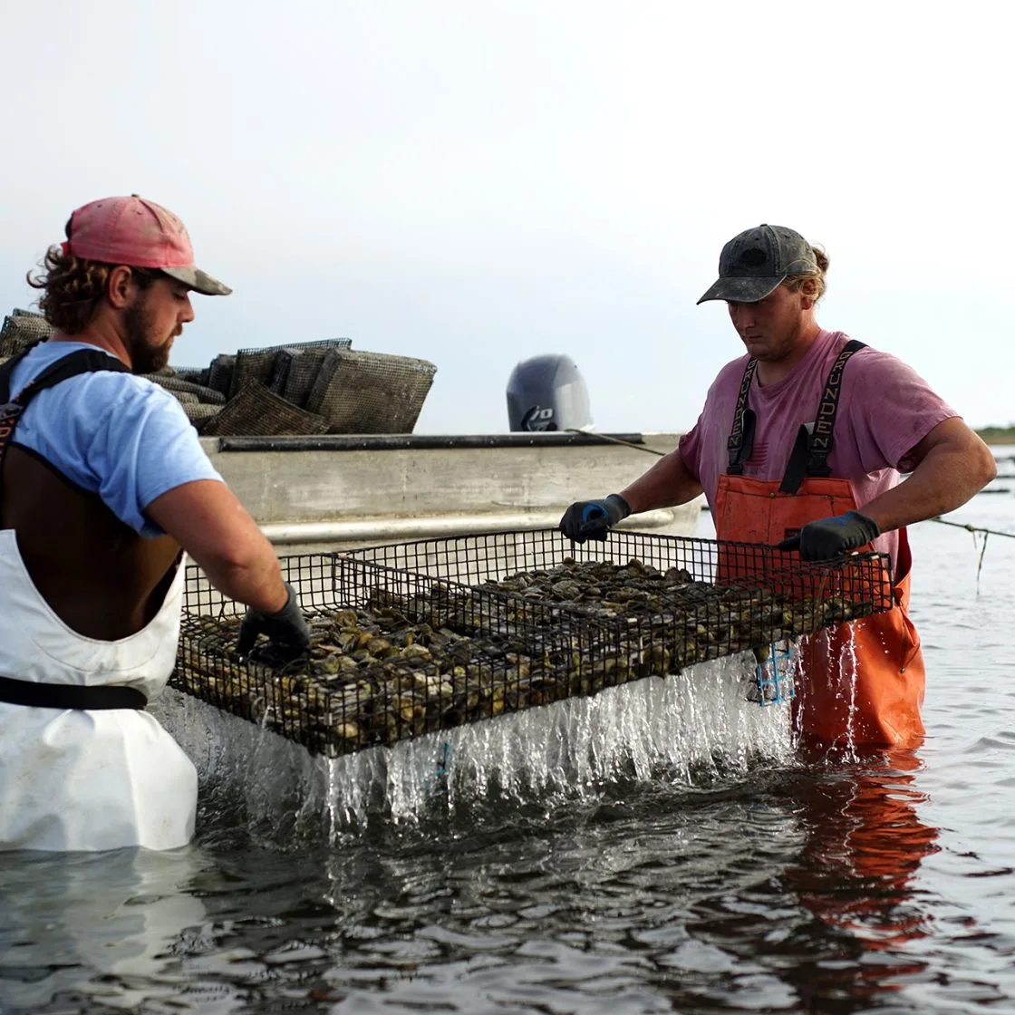 Matunuck Oyster Bar — photo 71