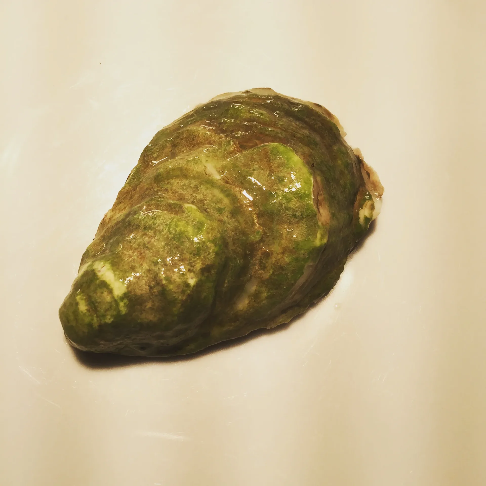 Select Oyster Bar — photo 79