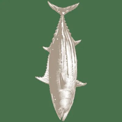 Fishølogy — food