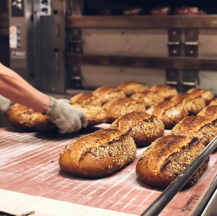 Zak The Baker — photo 8
