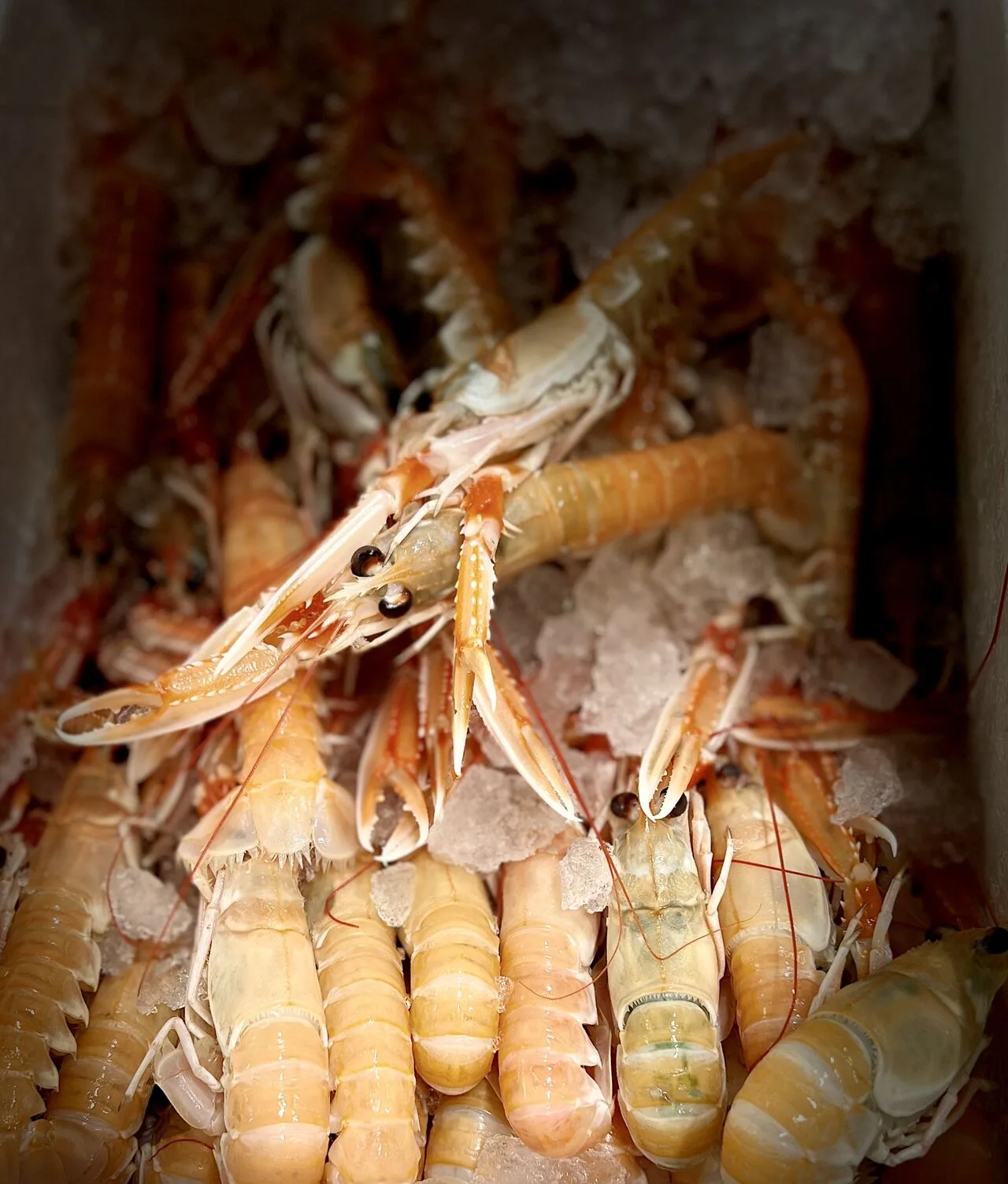 Cave et Cuisine — photo 14