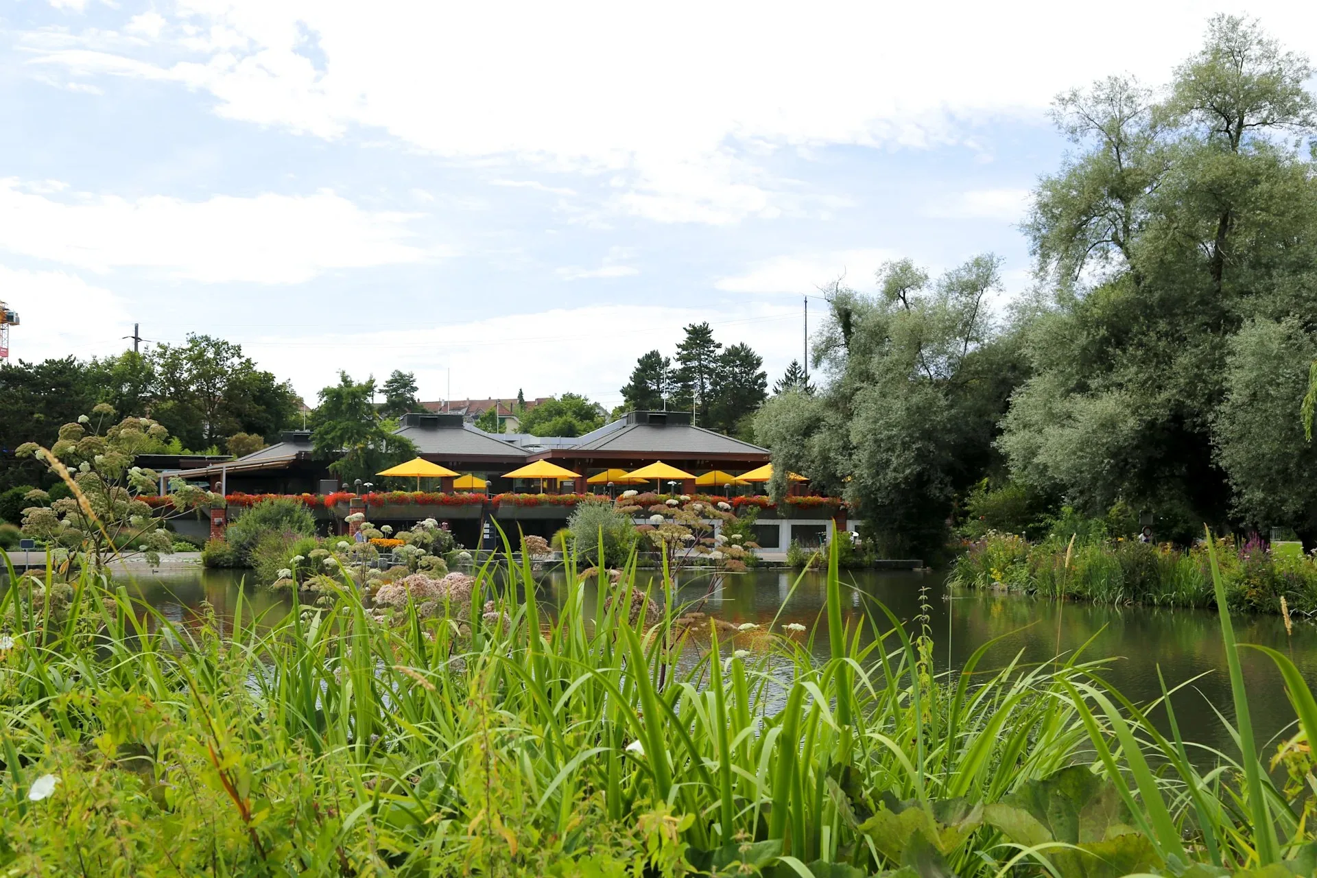 Restaurant Seegarten — photo 19