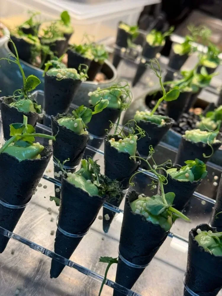 Restaurant Mahl und Werk — photo 11