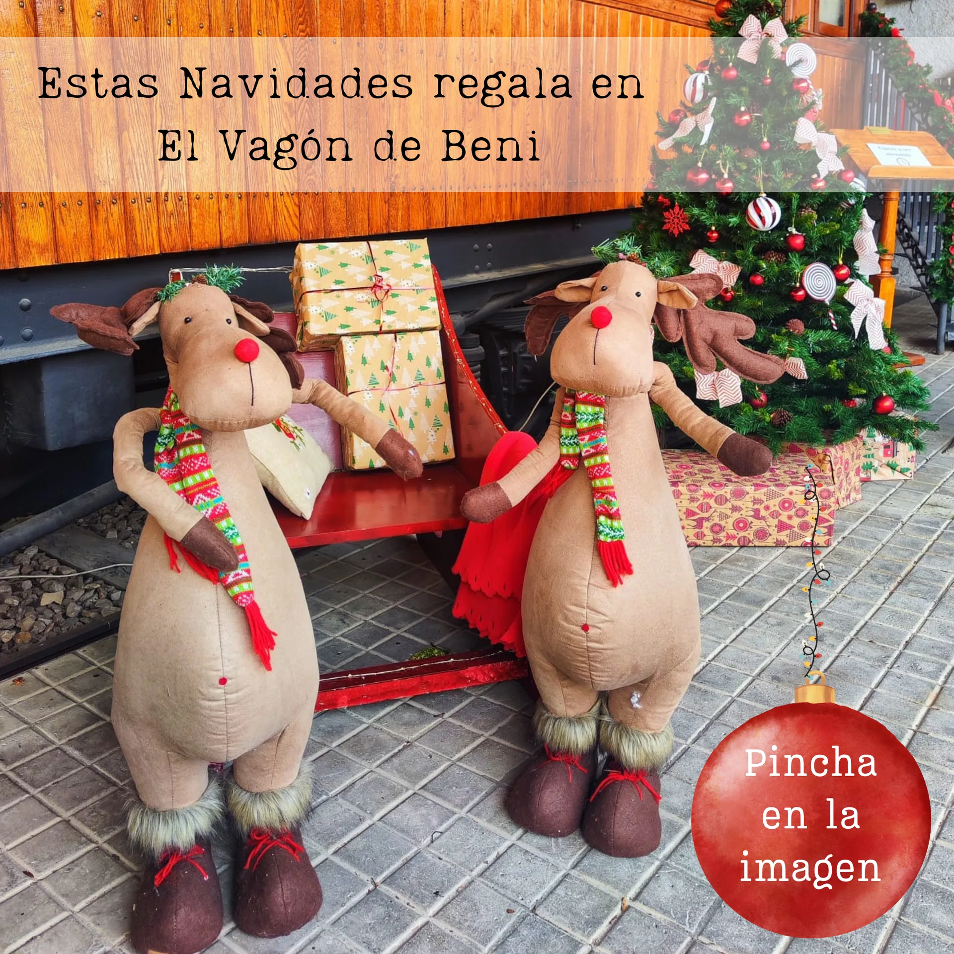 El Vagón de Beni — photo 30