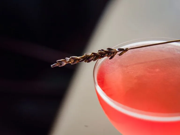 THYME-STREET CUISINE & COCKTAILS — photo 6