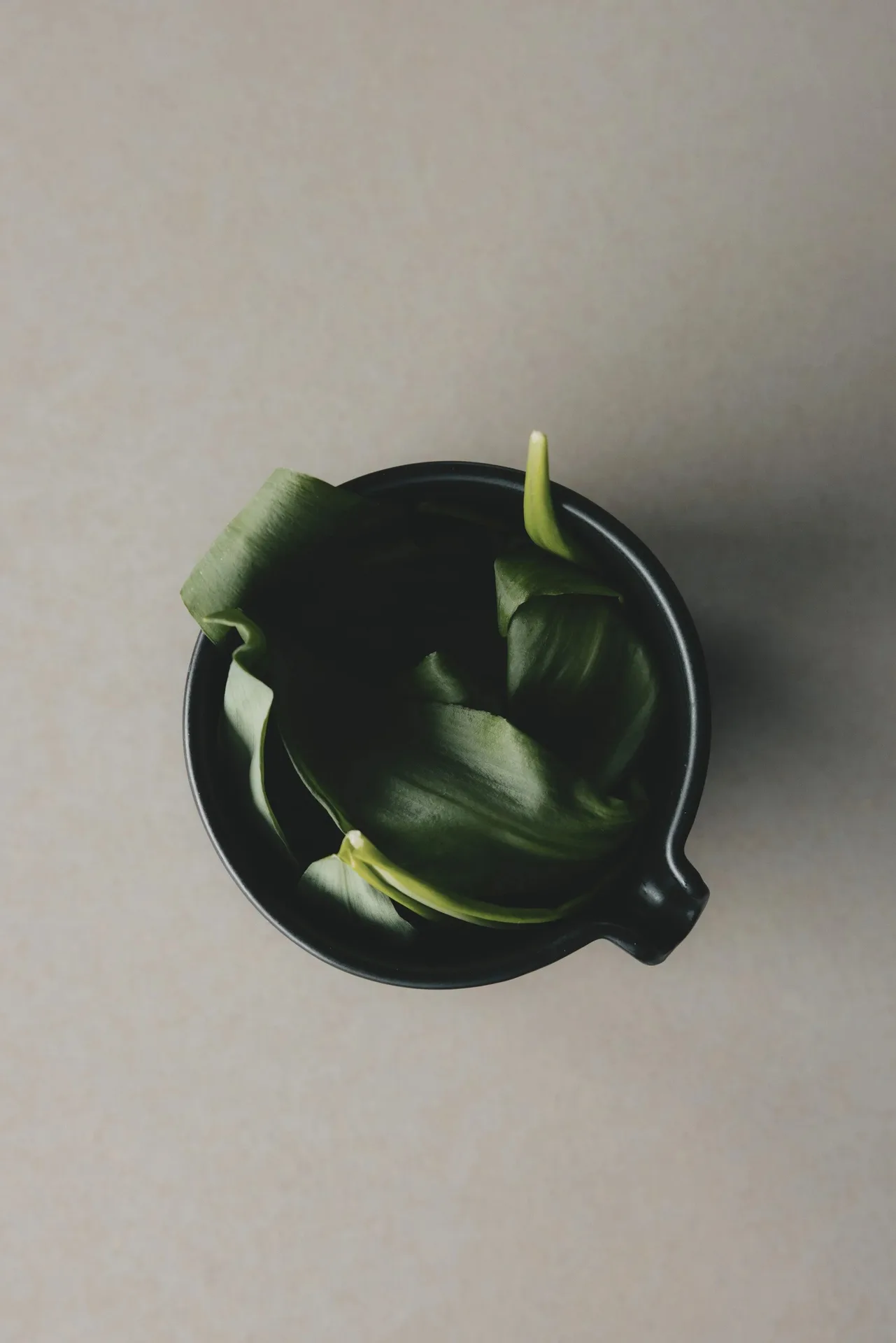 Schottis — photo 13