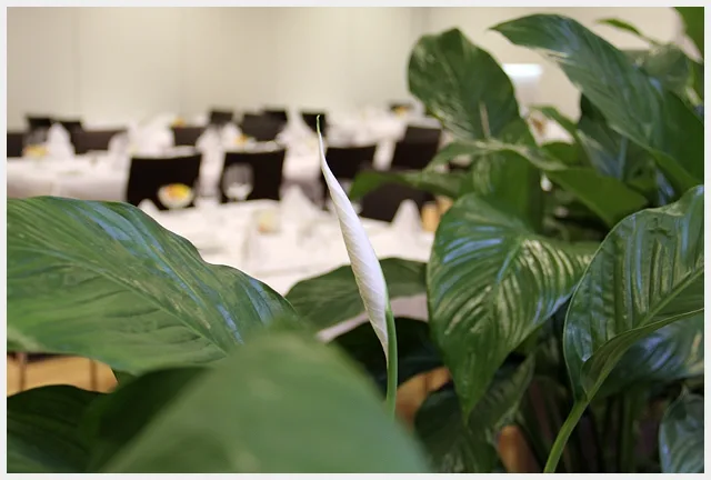 Restaurant Ochsen — photo 27