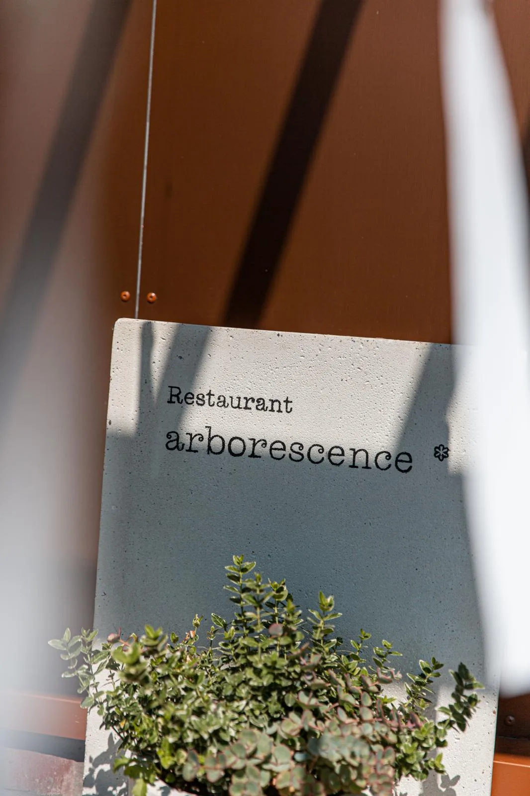 Arborescence — photo 21