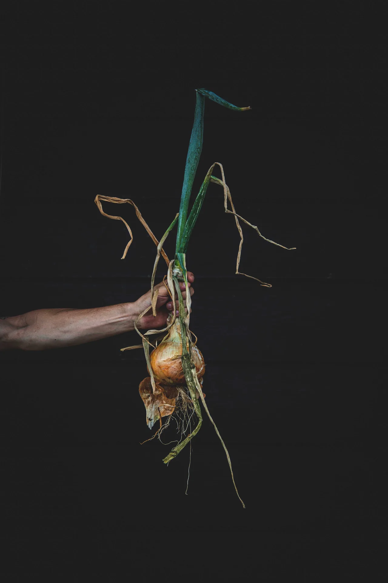 Tres — food