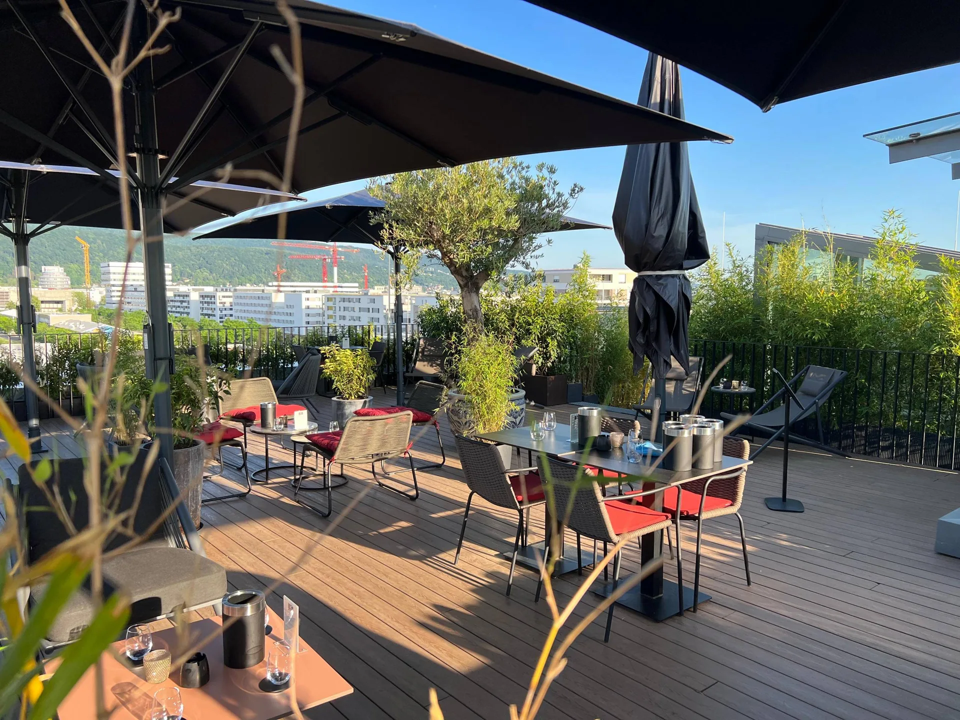 Qube Restaurant Bergheim — photo 12