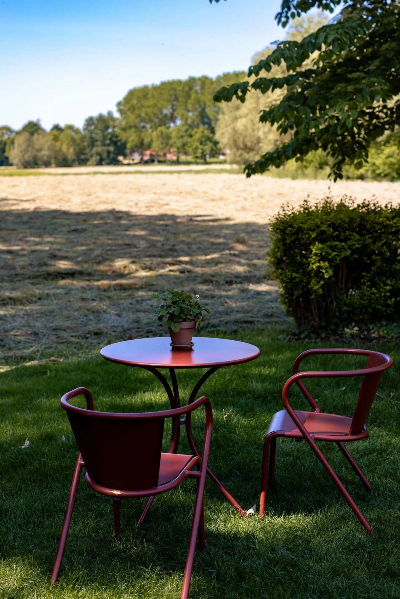 De Herten — photo 6