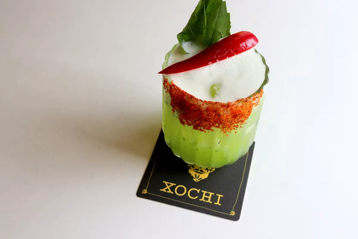 Xochi — photo 34