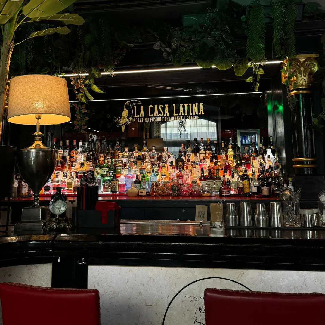 La Casa Latina — photo 73