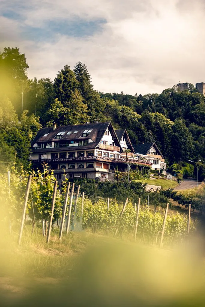Restaurant Jägersteig — photo 15