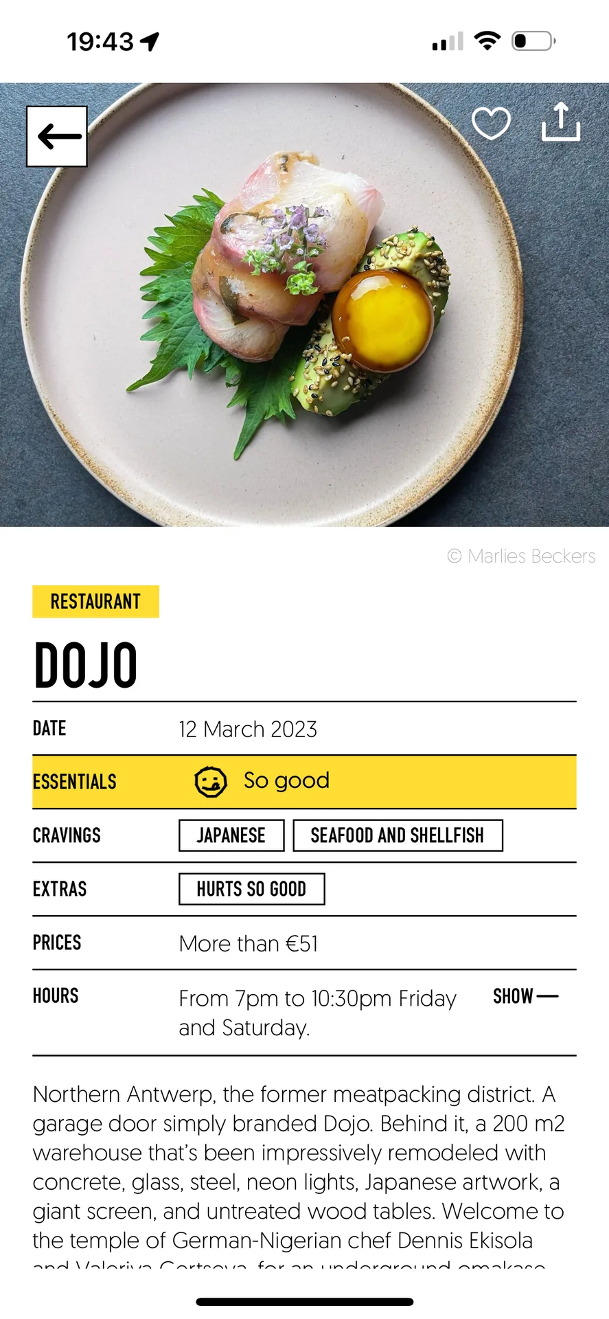 Dojo — photo 82