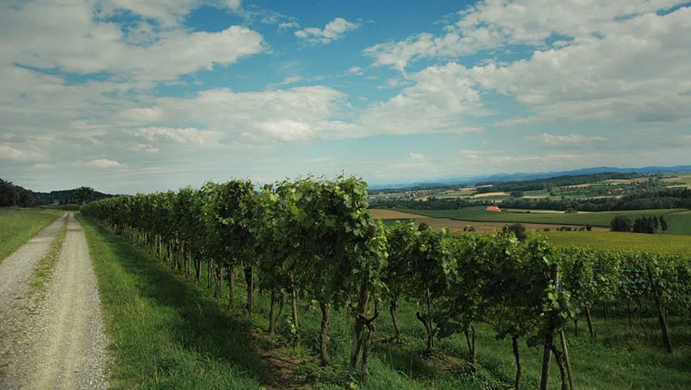 Hirschen Stammheim — photo 7
