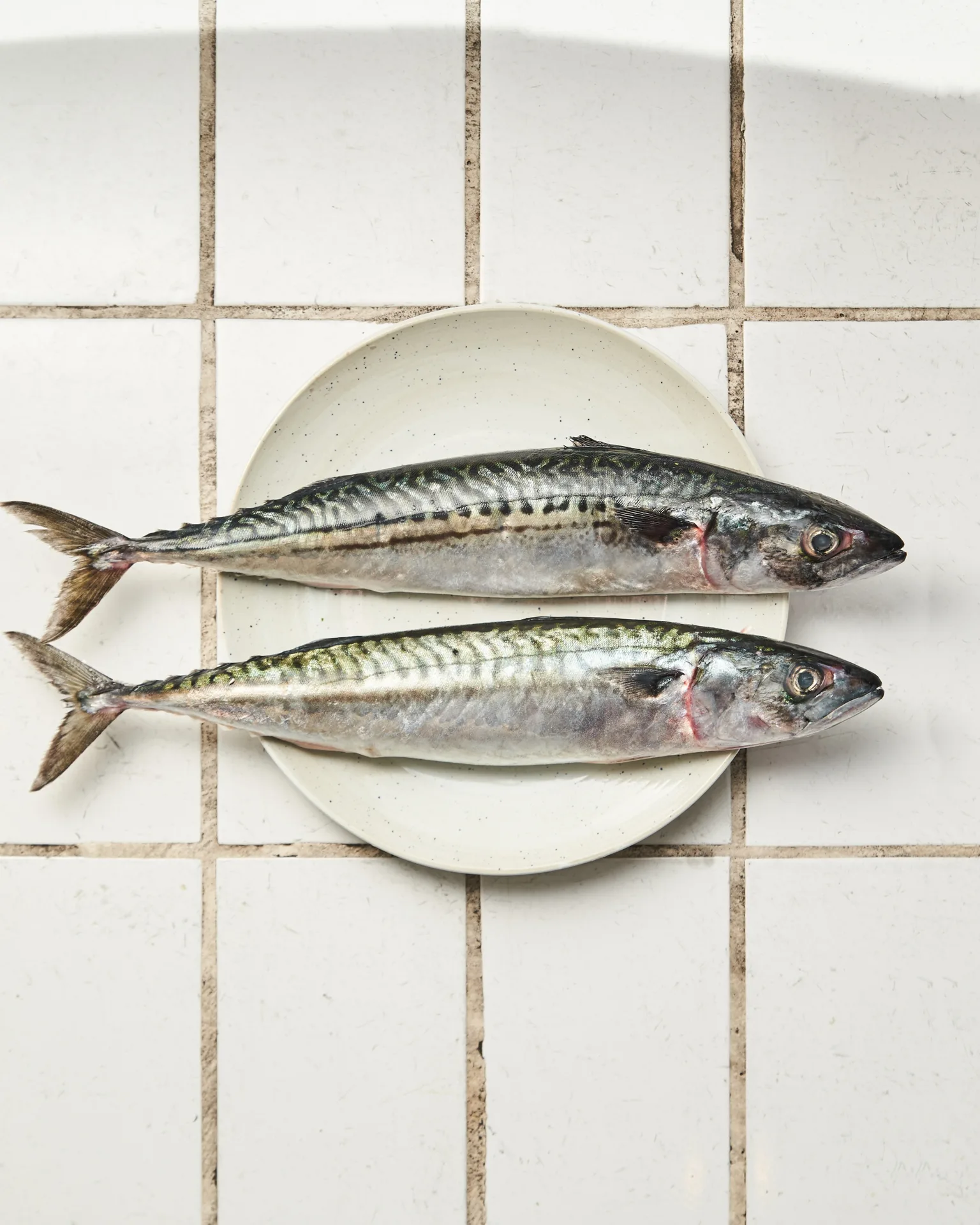 Kødbyens Fiskebar — photo 76