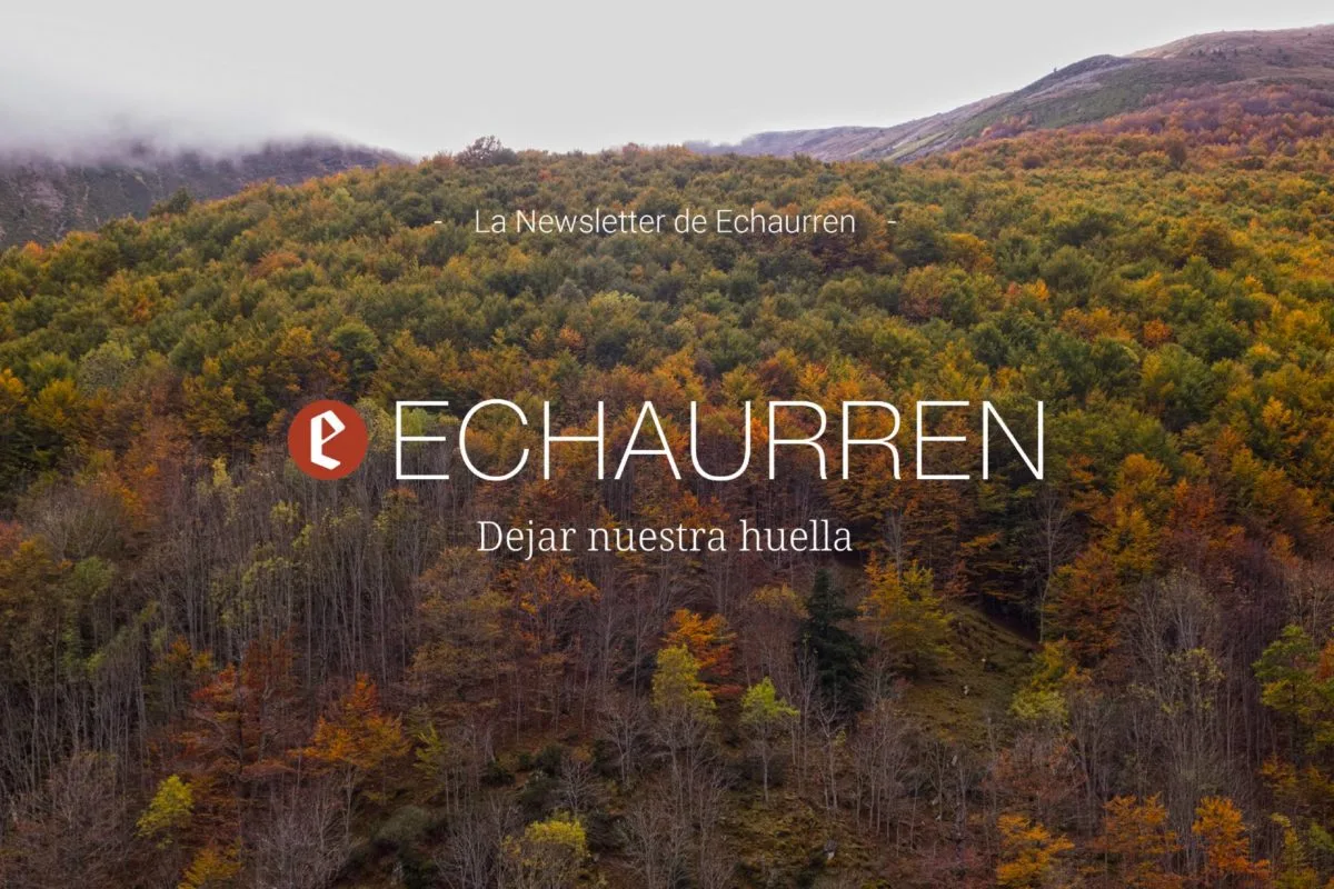 El Portal de Echaurren — photo 32