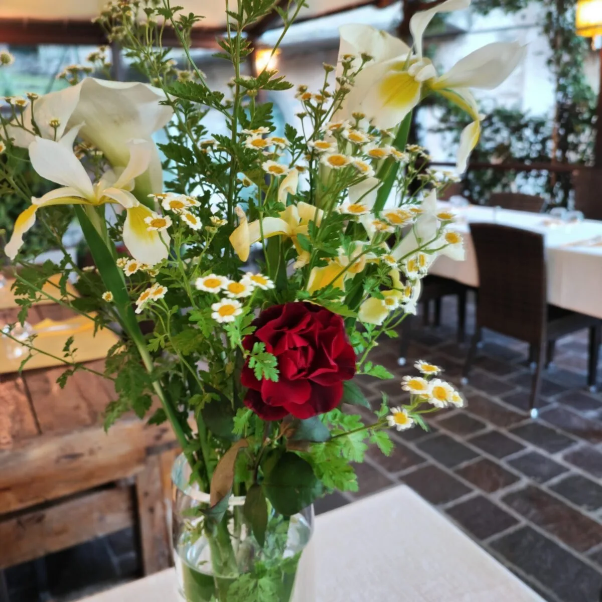 Trattoria Dentella — photo 6
