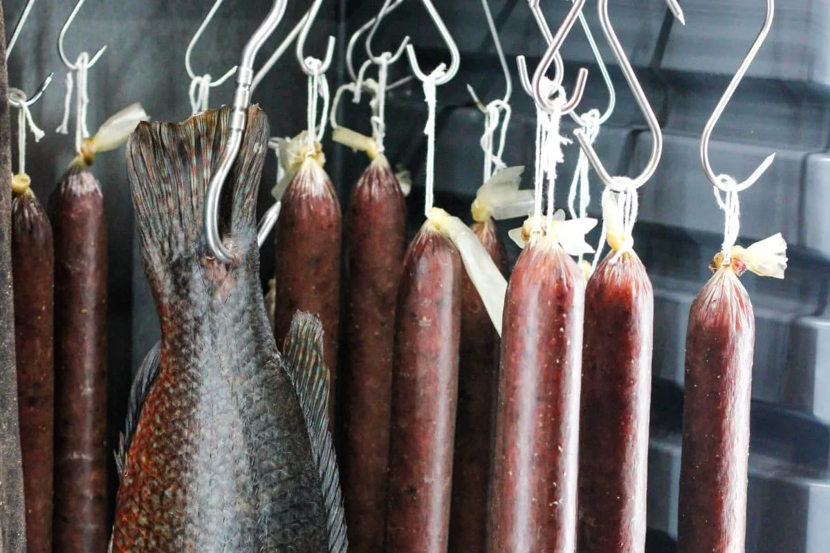 Fishølogy — photo 24