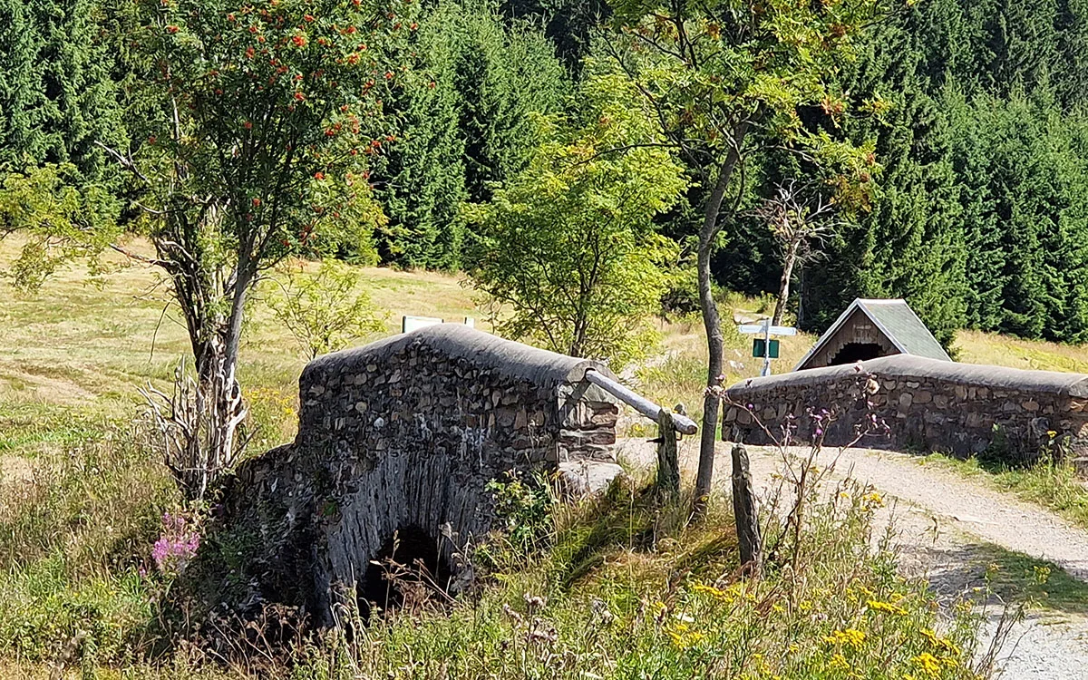 Restaurant Schwarzbeerschänke — photo 14