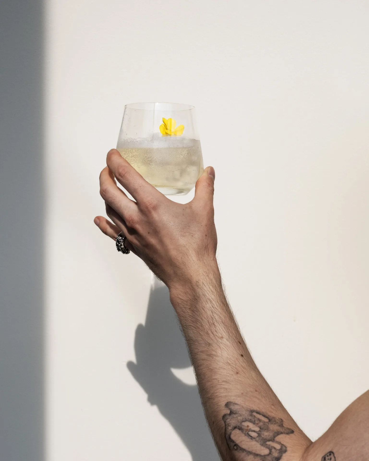Jean-Philippe — photo 14