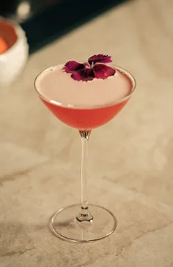 Torno Subito, Miami