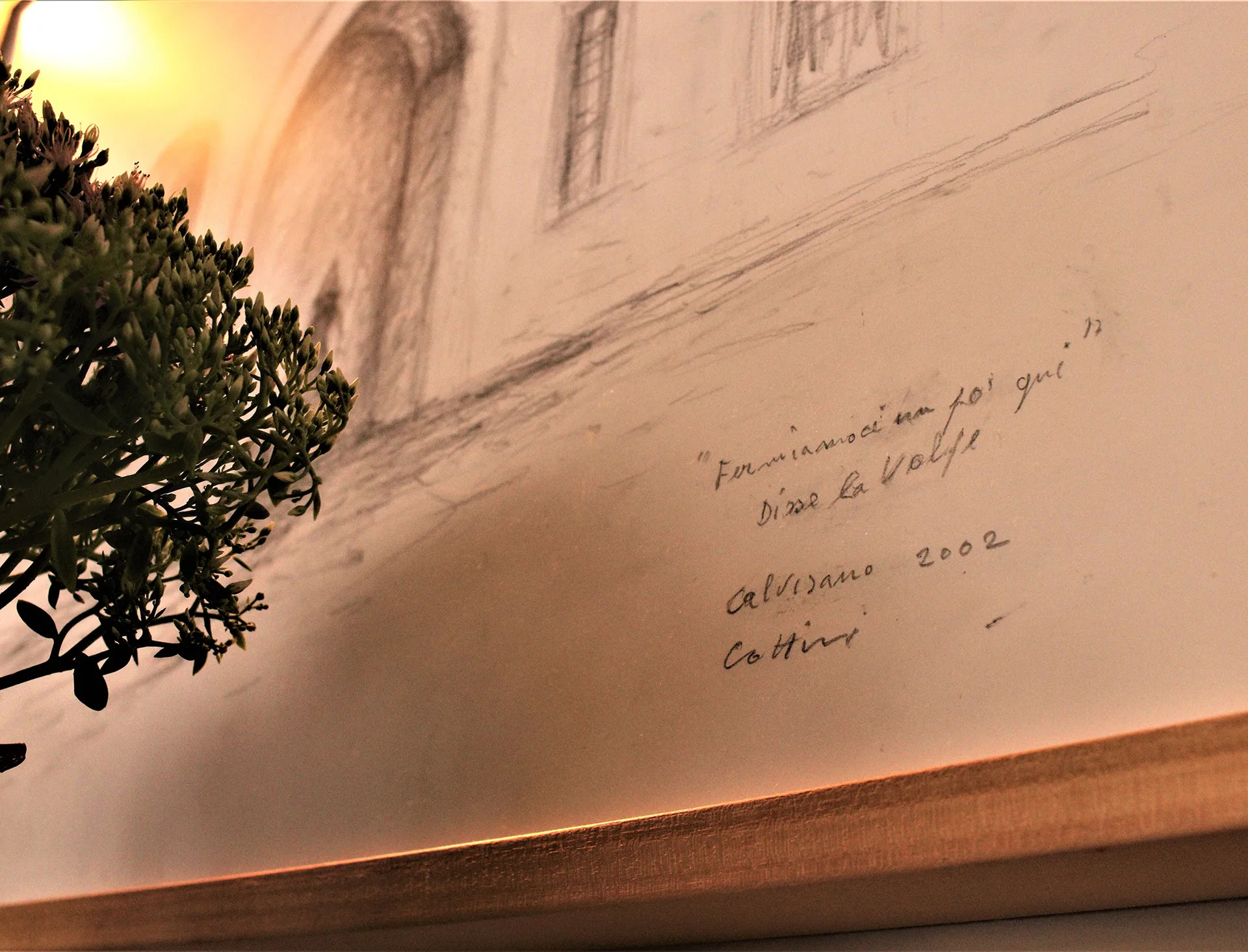 Al Gambero — photo 8