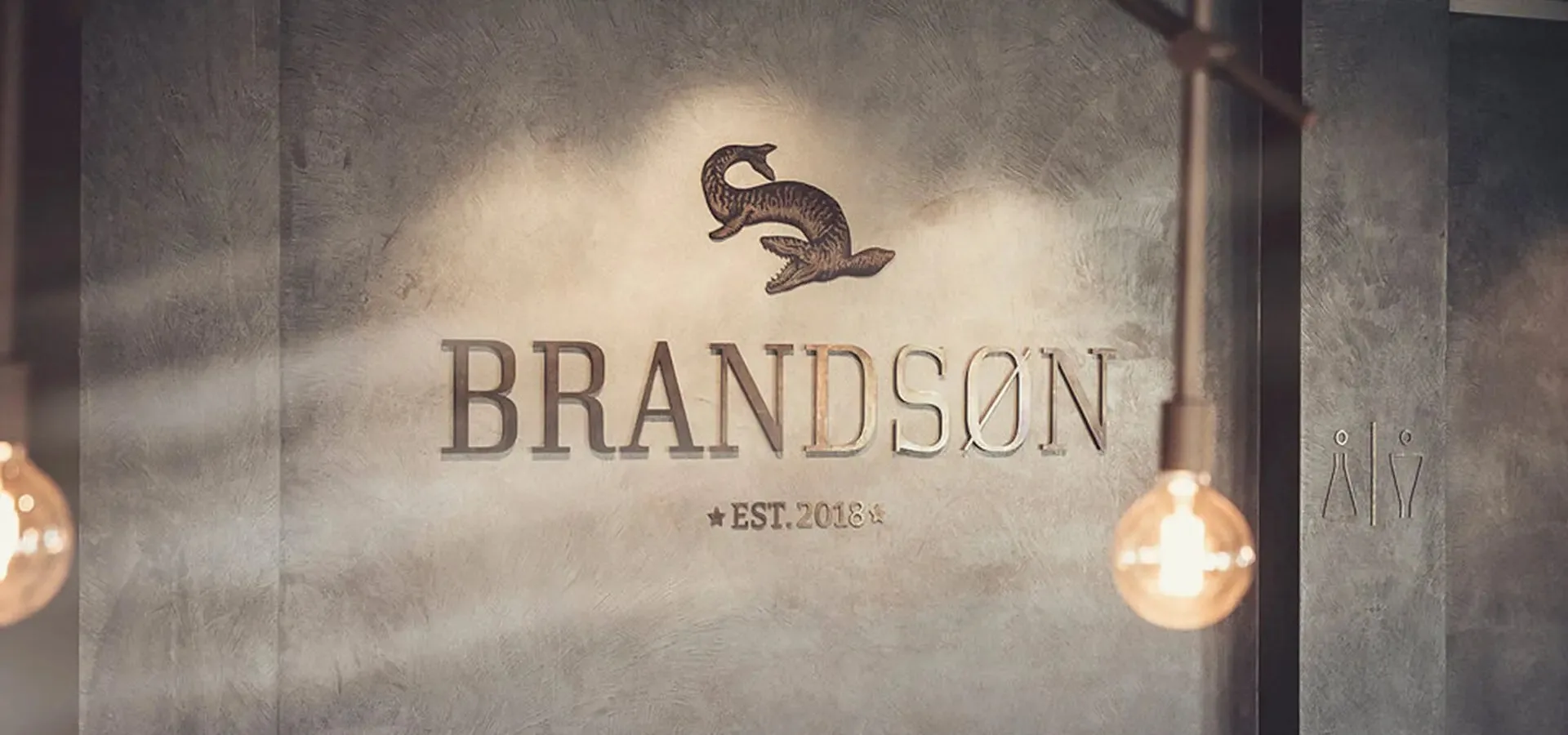 Brandson — photo 41