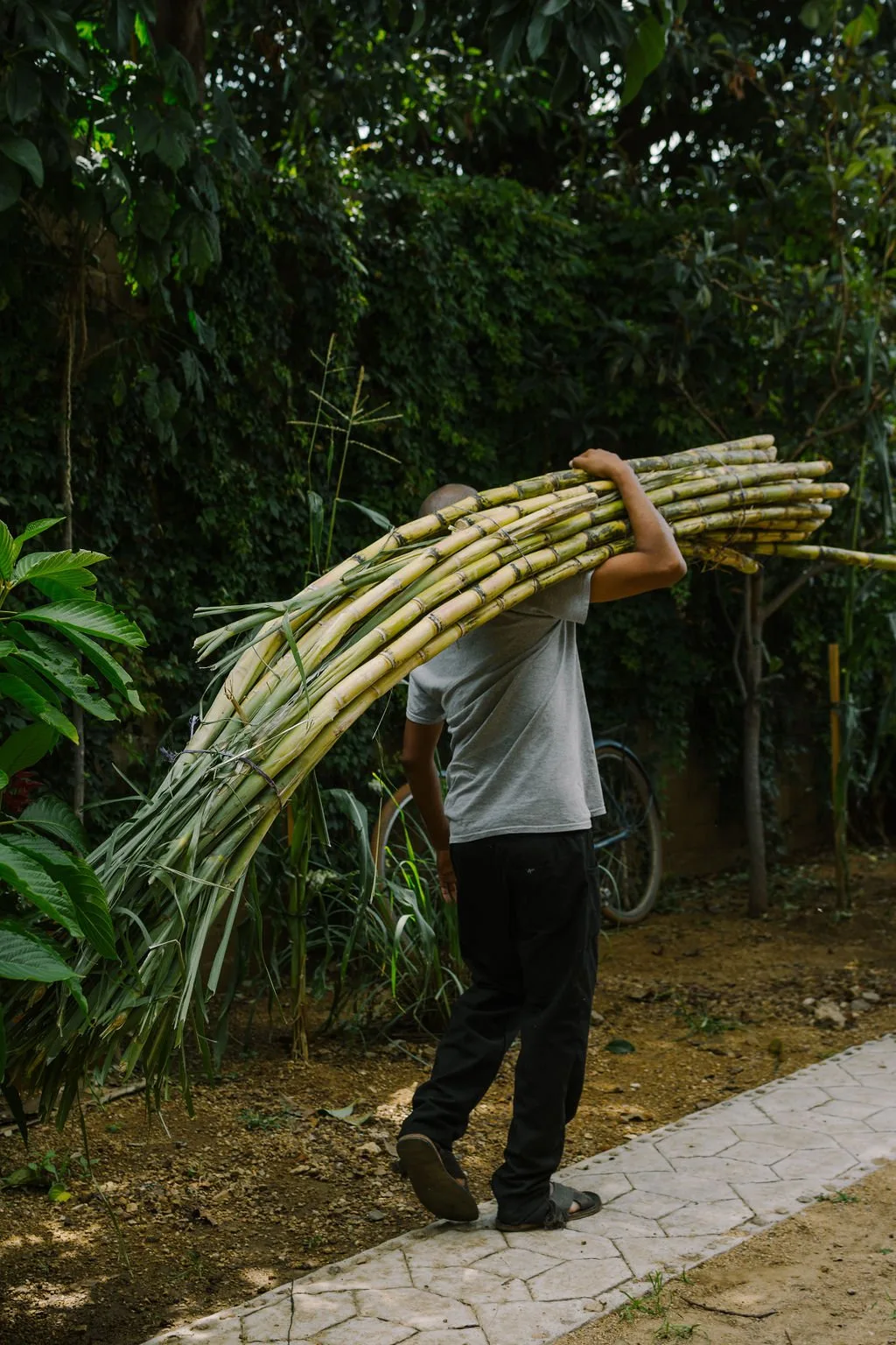 Alfonsina, Oaxaca