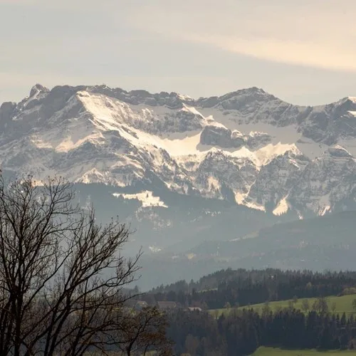 Sonne Seehotel — photo 13