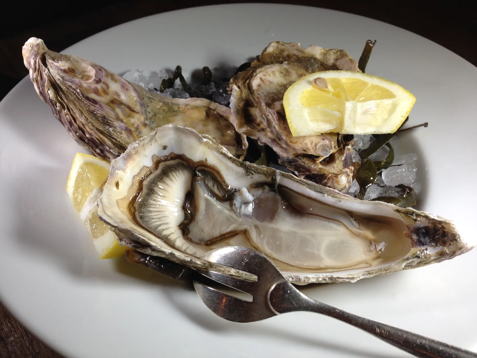 Jules Verne Restaurant — photo 18