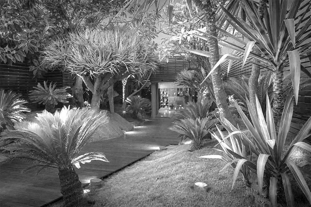Lily's — photo 43