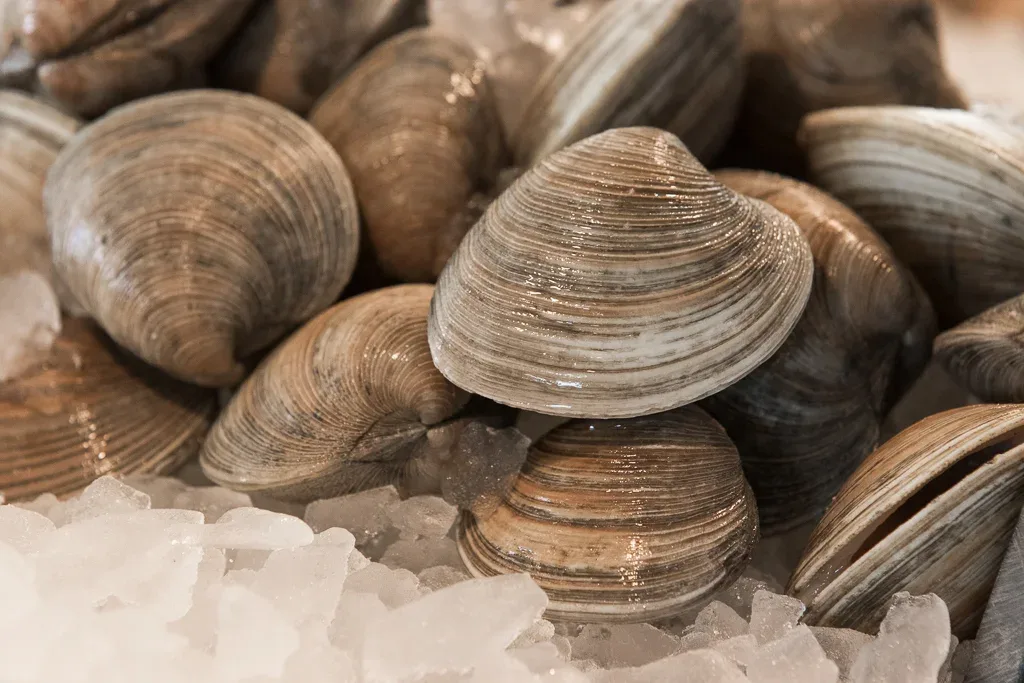 Shell & Bones Oyster Bar and Grill — photo 11