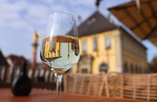 Weinforum Franken — photo 69