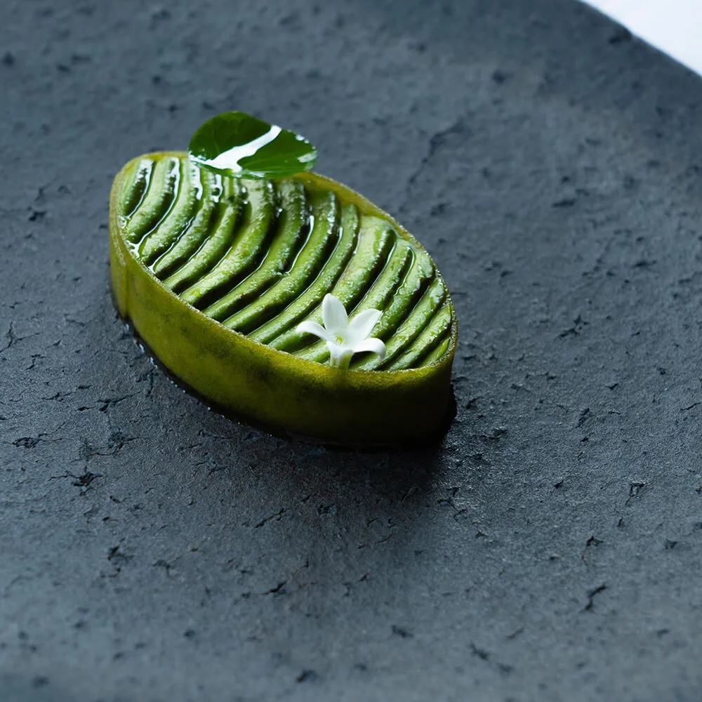 TOEDA — photo 4