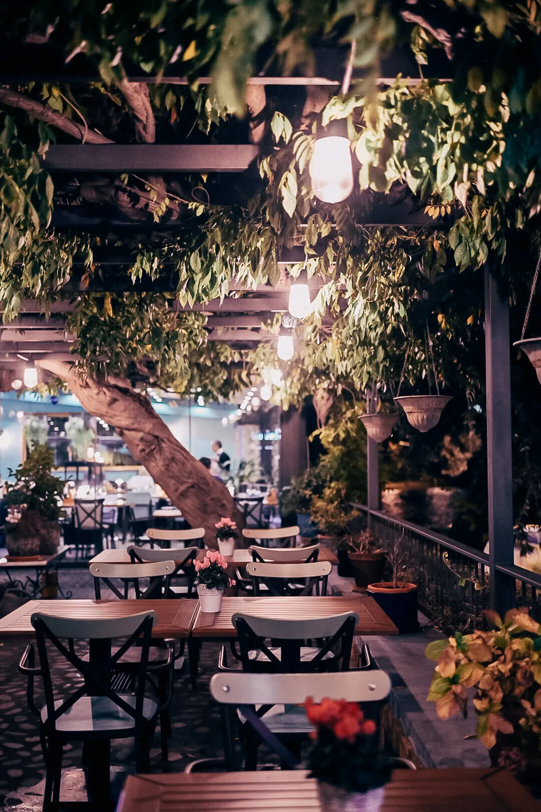 Ostaria Veranda — photo 106